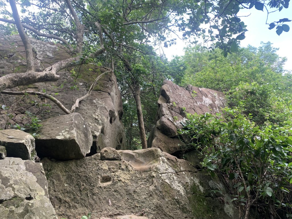 20240608高雄北旗尾南山-北旗尾山-旗尾山_2523577
