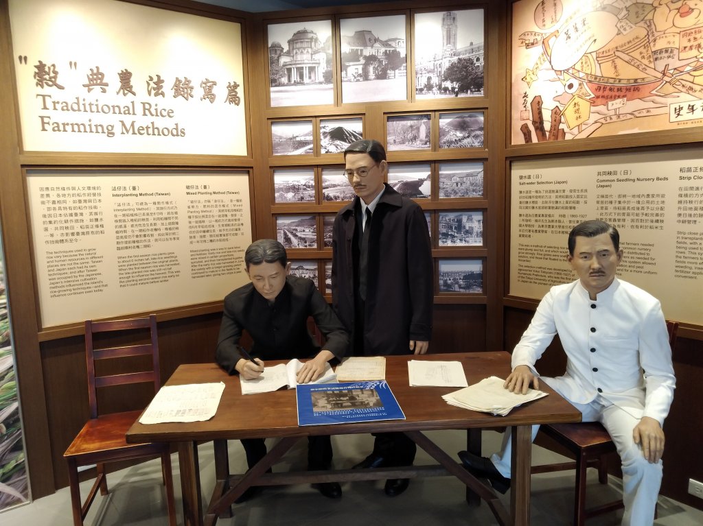 陽明山竹子湖繡球花G_587286