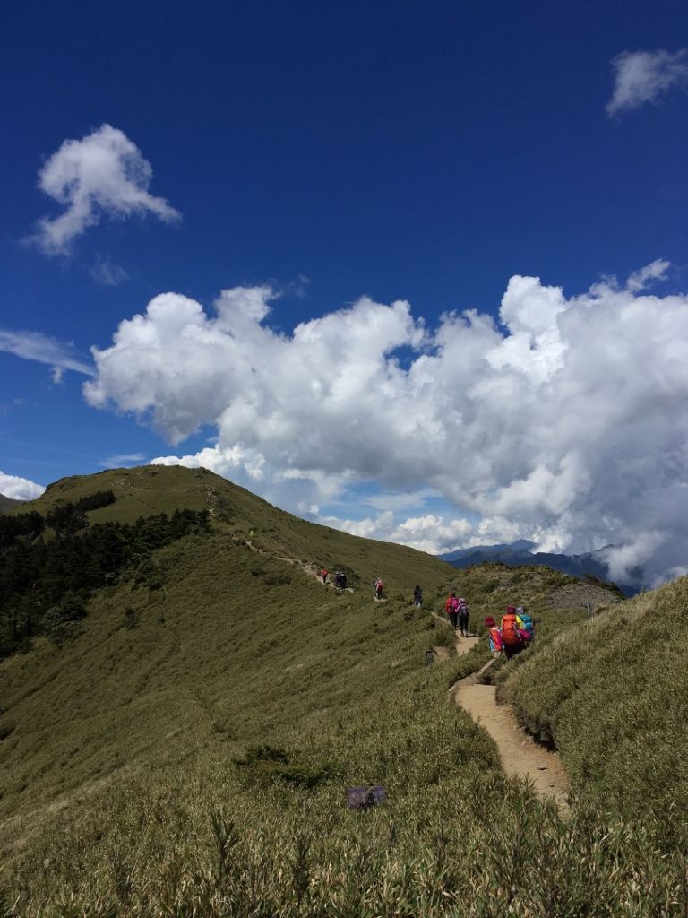 順道石門山，轉身望奇萊～封面圖