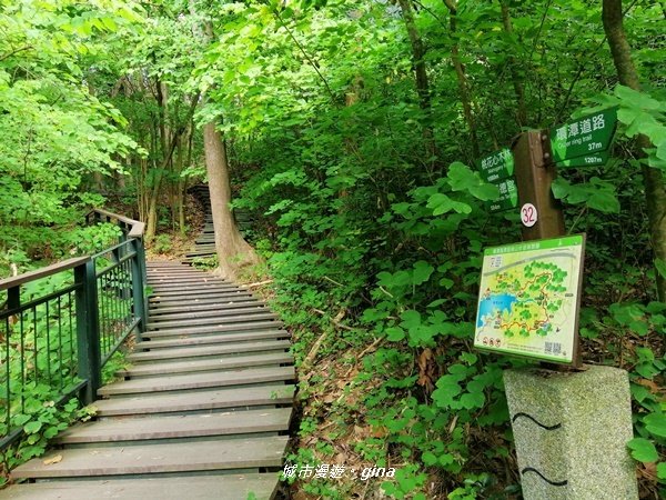 嘉義東區~林蔭步道森林浴~蘭潭後山步道_1283958