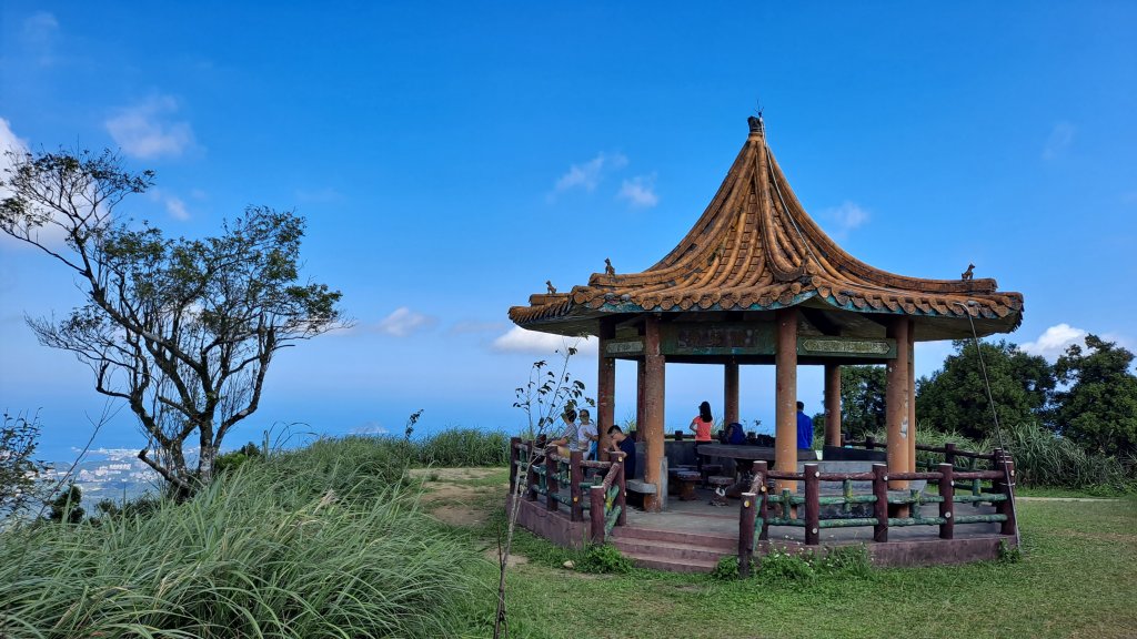 《老鷹怎麼這麼多》五分山_小百岳#10_1146502