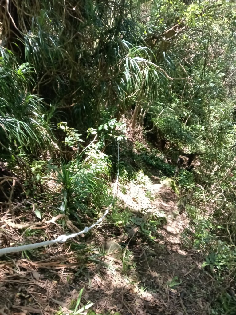 平溪區平湖尖+南山坪山+司公碗帽山+和尚尖O型_2810739