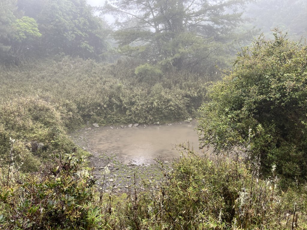 鹿林山-鹿林前山-真鹿林山-石水山-石水山基點峰 2025.5.25_2798424