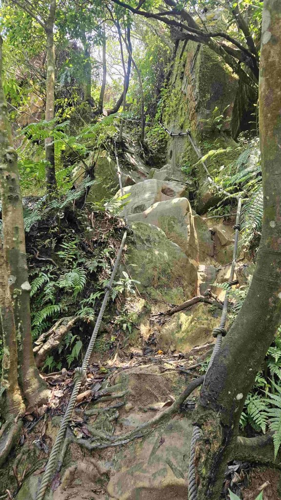 20250427魚衡山-南峰-南南峰-猴山岳北北峰-北峰-主峰-前峰-西峰下指南宮_2771953