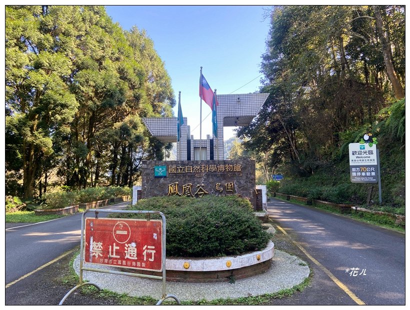 鳳凰谷步道(鹿谷鄉)_2690424