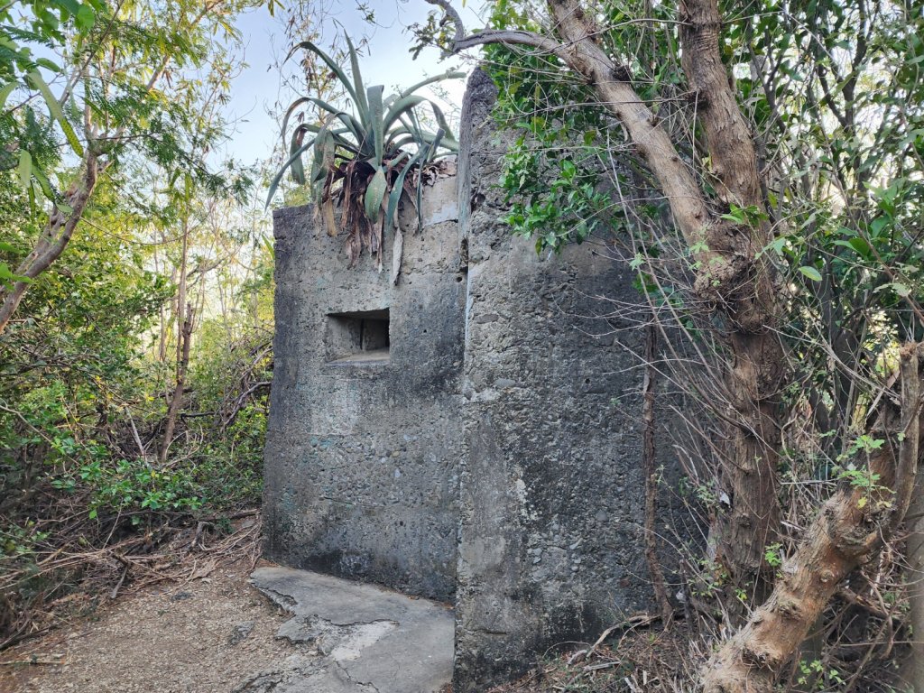屏東車城｜龜山步道_2776436