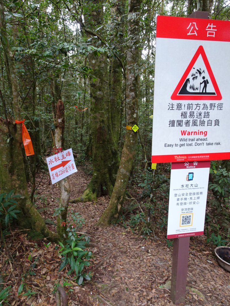 2022年02月13日(彰山協)南投日月潭四兄妹之中級山~大尖山縱走水社大山_1613449