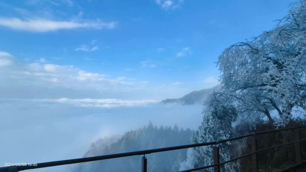 #霧淞 #雲海 #雲瀑 #霧虹 #太平山 #望洋山 #觀雲步道 #翠峰道路  2/8_2995317