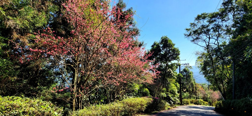 三貂嶺瀑布群步道，土虱頭景觀平台，永安景觀步道，石笋古道，廣興河濱公園，項羽灘_2014894