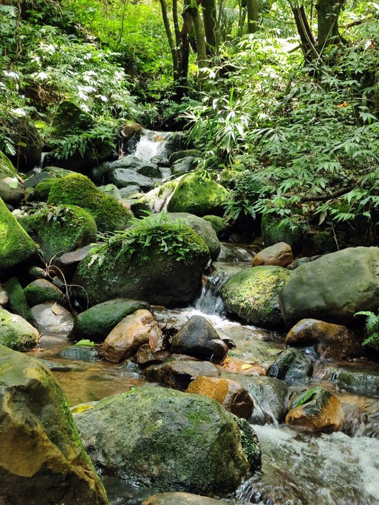 淡蘭北2+1逆走二刷_2772766