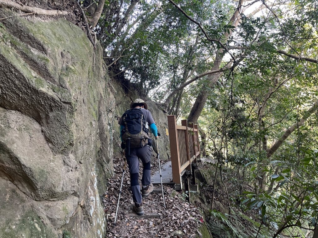 1141207金童山_2957717