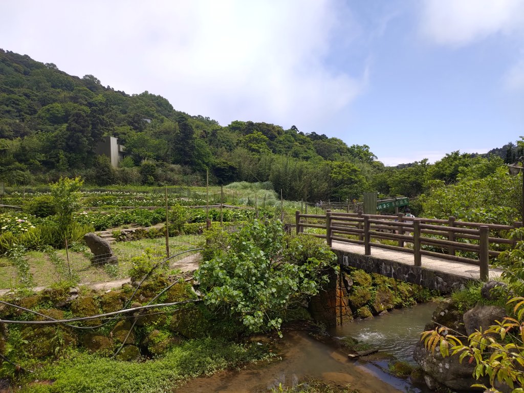 中正山步道-竹子湖來回_1361695