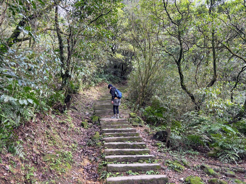 姜子寮山_2736836