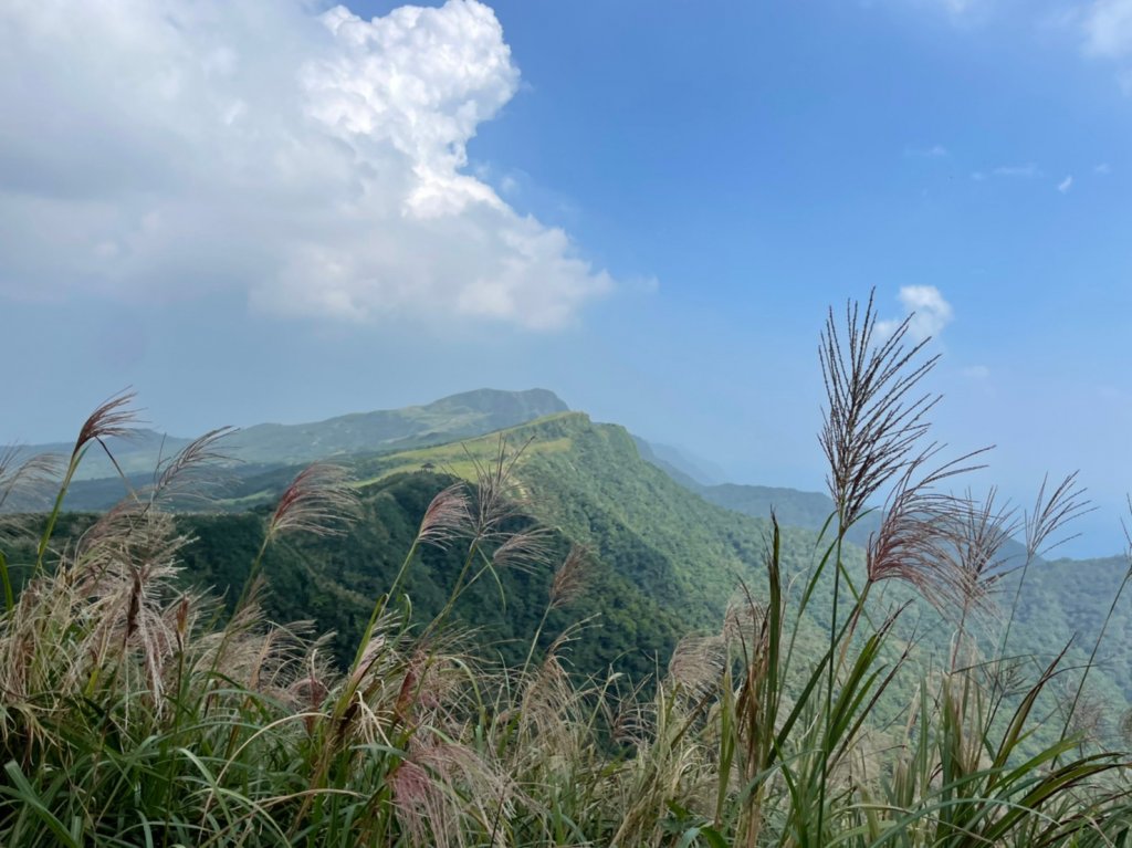 桃源谷步道(大溪線+草嶺古道線)-下大里天公廟_1508090