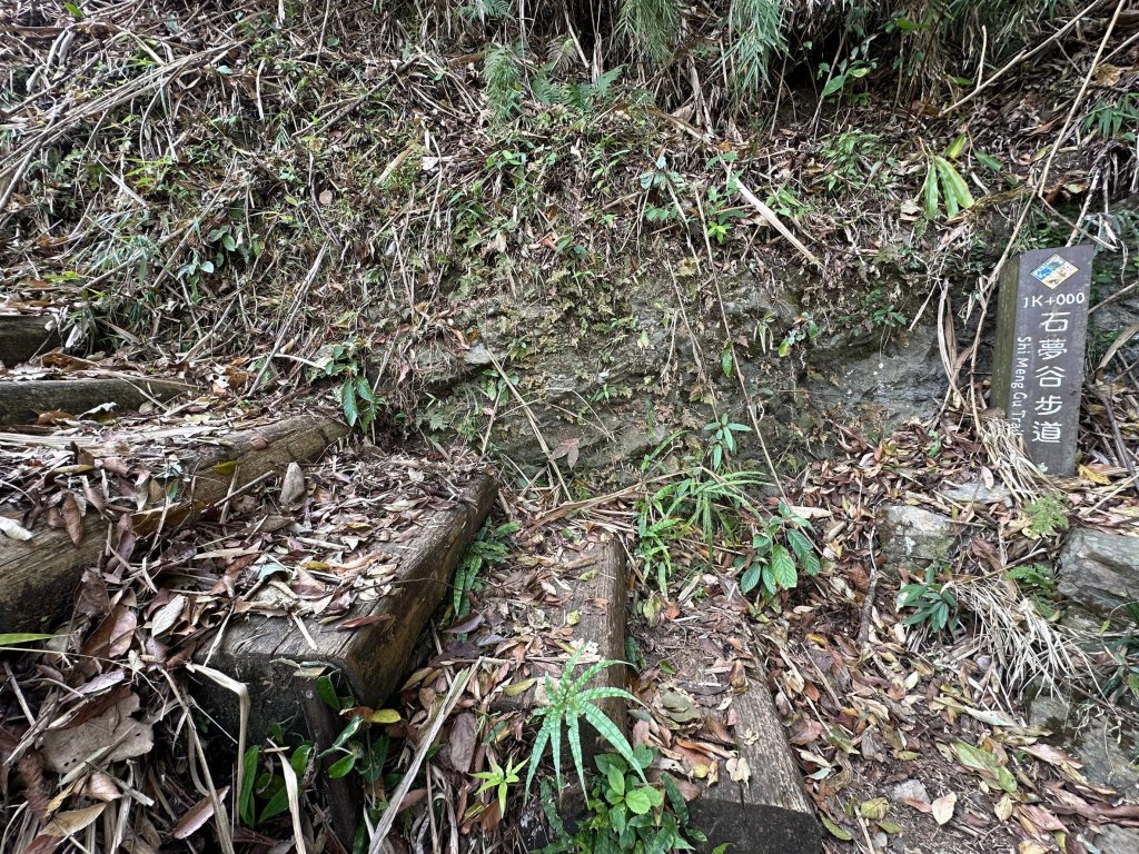 石夢谷、情人谷瀑布步道健走_2440875