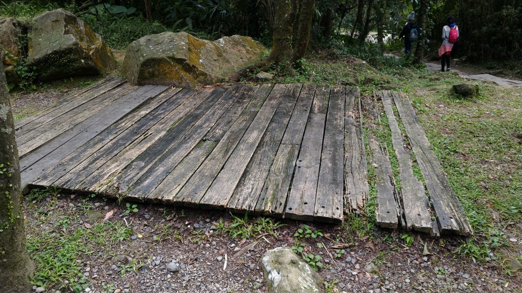 20191208 桃源谷步道(灣坑頭山)_817760