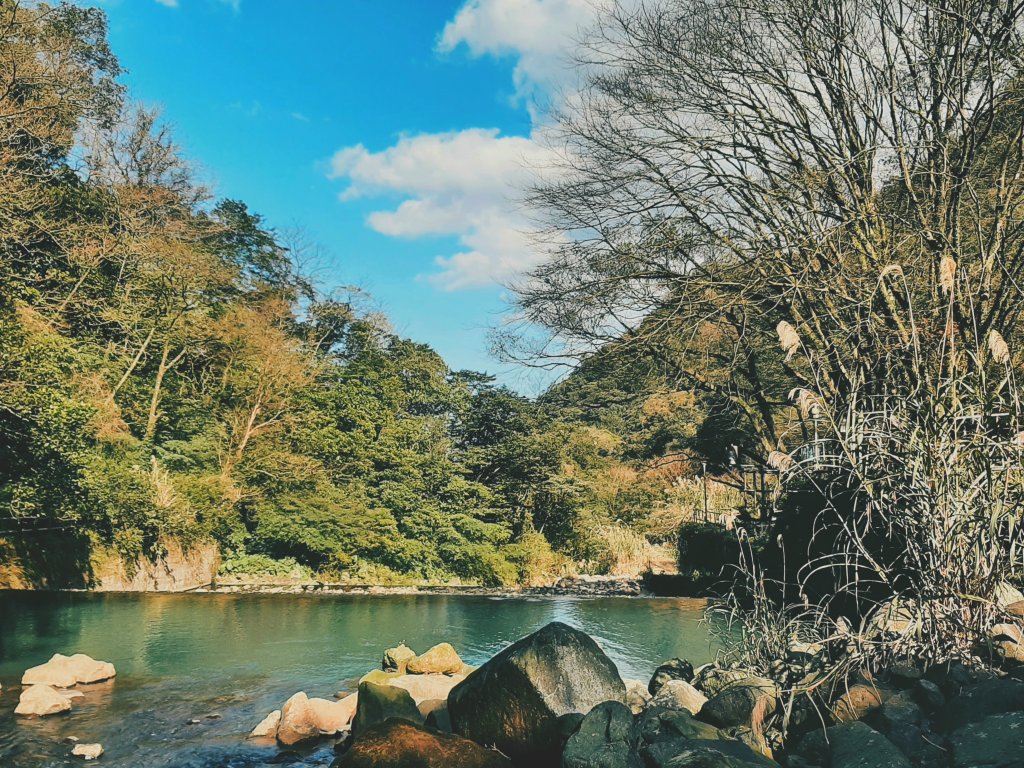 陽明山神秘綠境 • 鹿角坑保護區_2038676