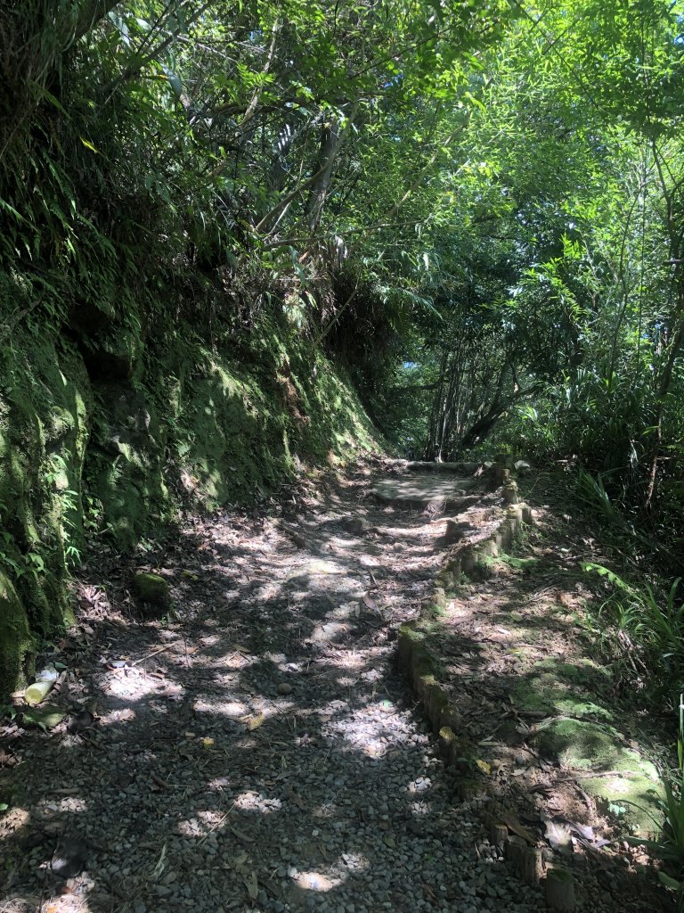 夏天就是要去涼爽的步道健行>>望古瀑布、嶺腳寮山(瀑布)步道_1760565
