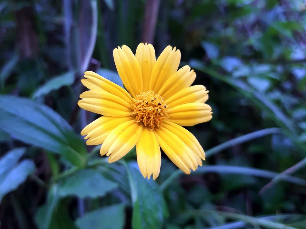 月亮忘記了〡最孤獨的時候，最溫暖的陪伴_687134