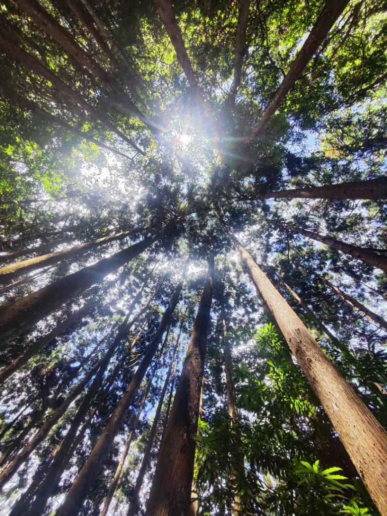 民都有山_2844990