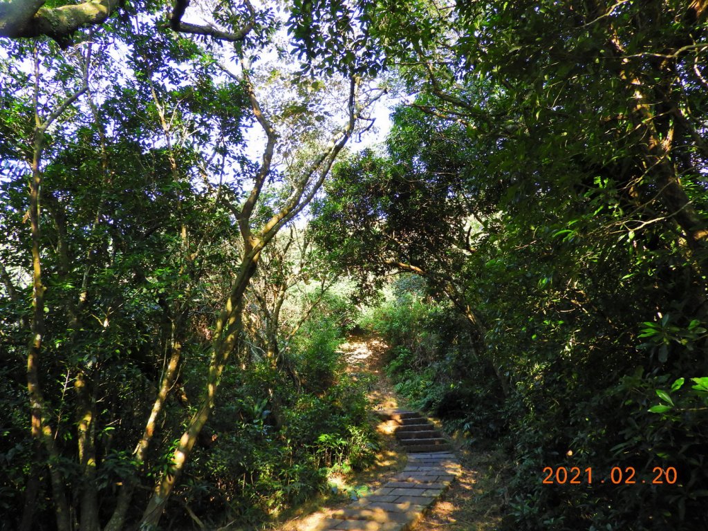 宜蘭 頭城 蕃薯寮山、鹿窟尾尖_1277983