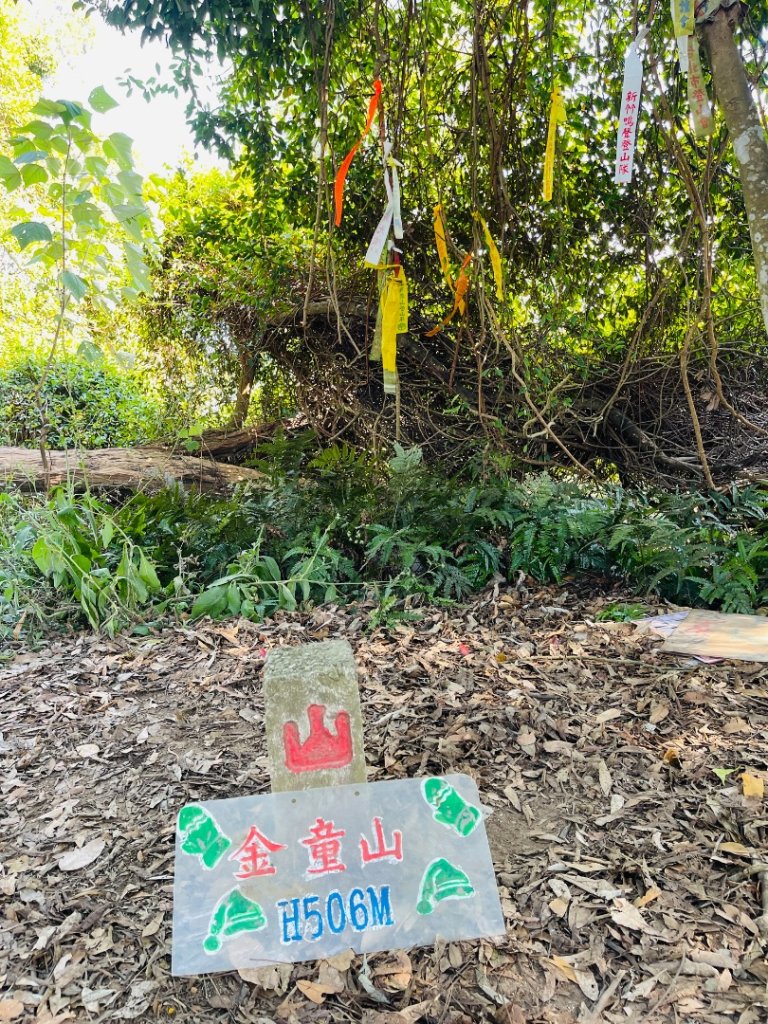 1141207金童山_2957718