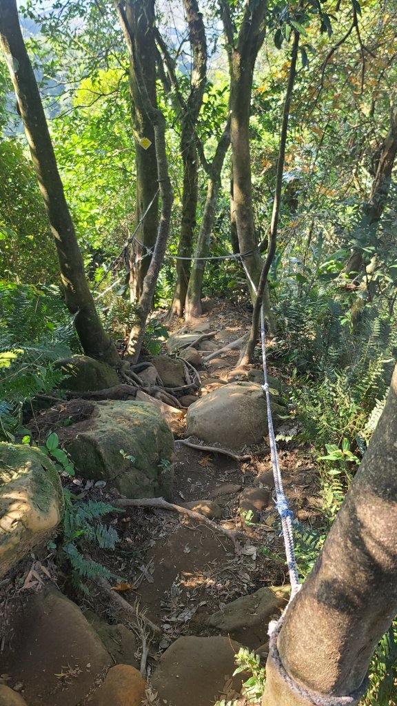 2026-0114溪州山小百岳_2984909