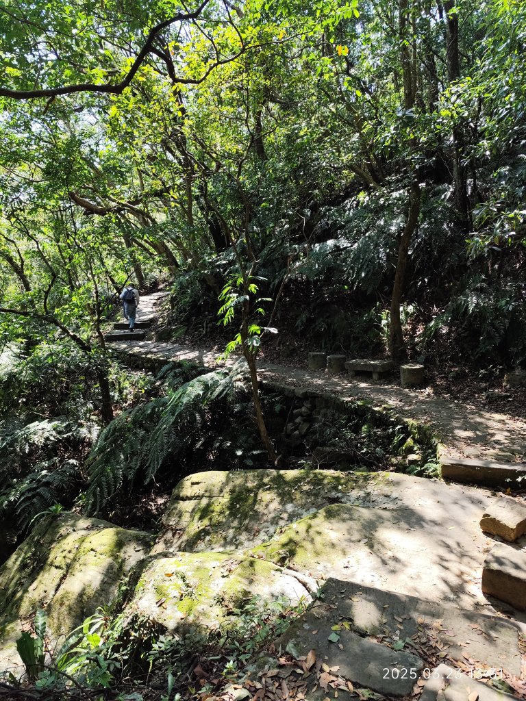 【臺北大縱走 5】碧山巖→忠勇山越嶺步道→金龍產業道路→圓明寺步道→鄭成功廟步道→文間山→劍潭山步道_2744817