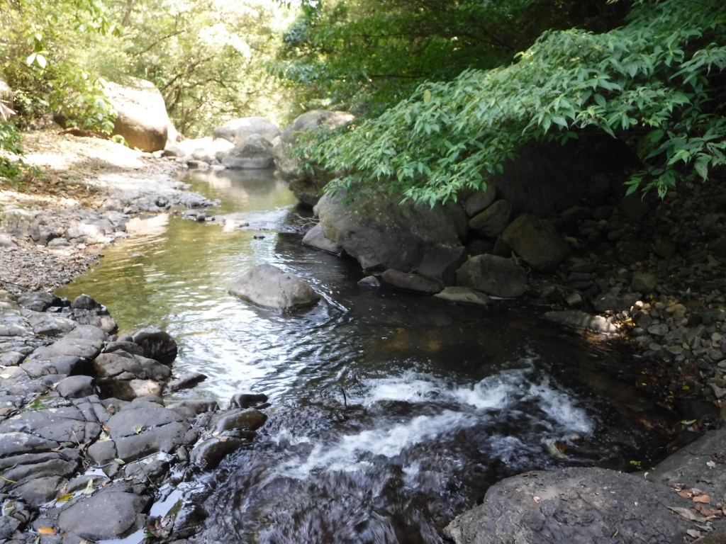 繽紛夏滋味-東北角一日雙棲戲水樂_52942