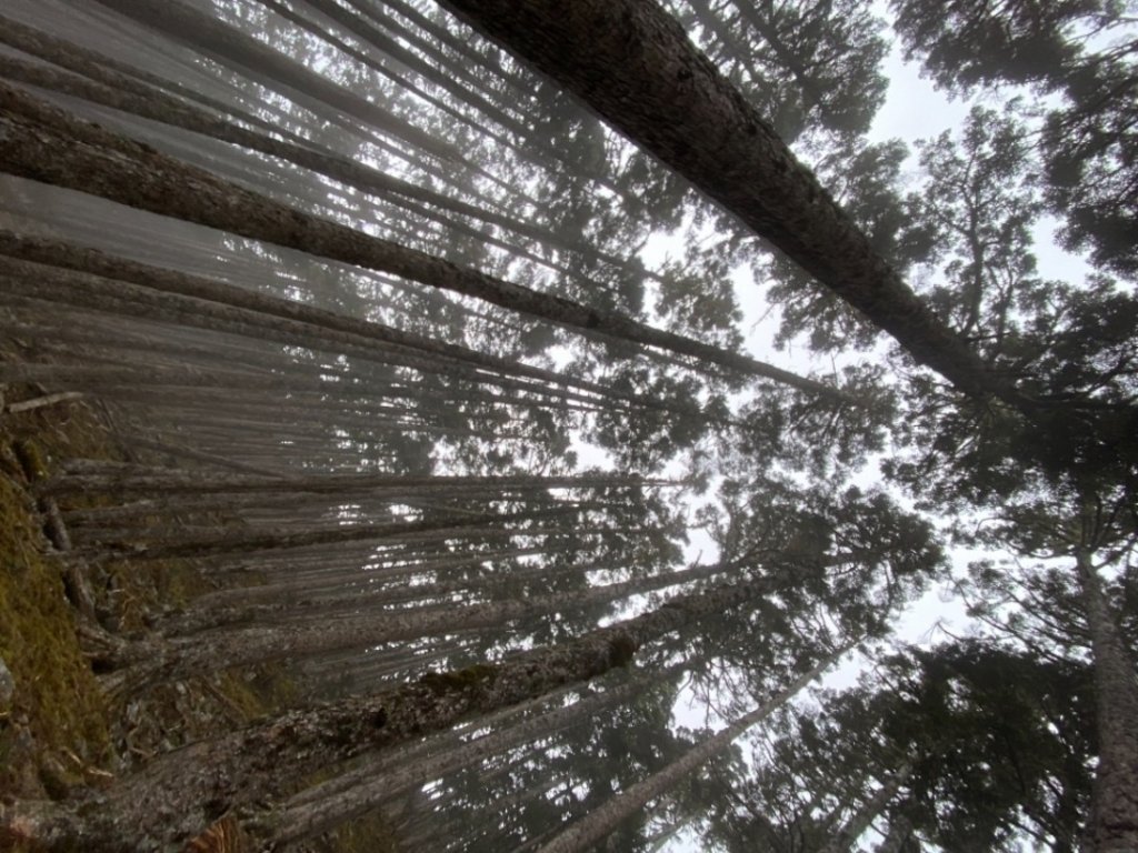 一日志雪_1406525