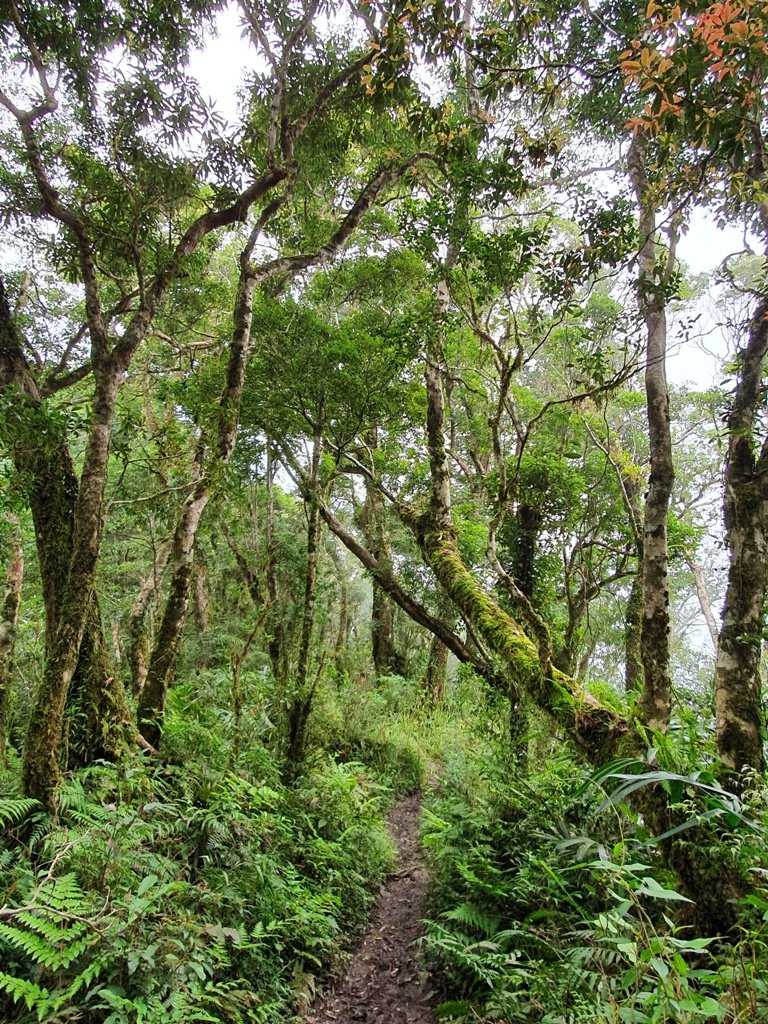 1090313台東聖山~都蘭山_881093