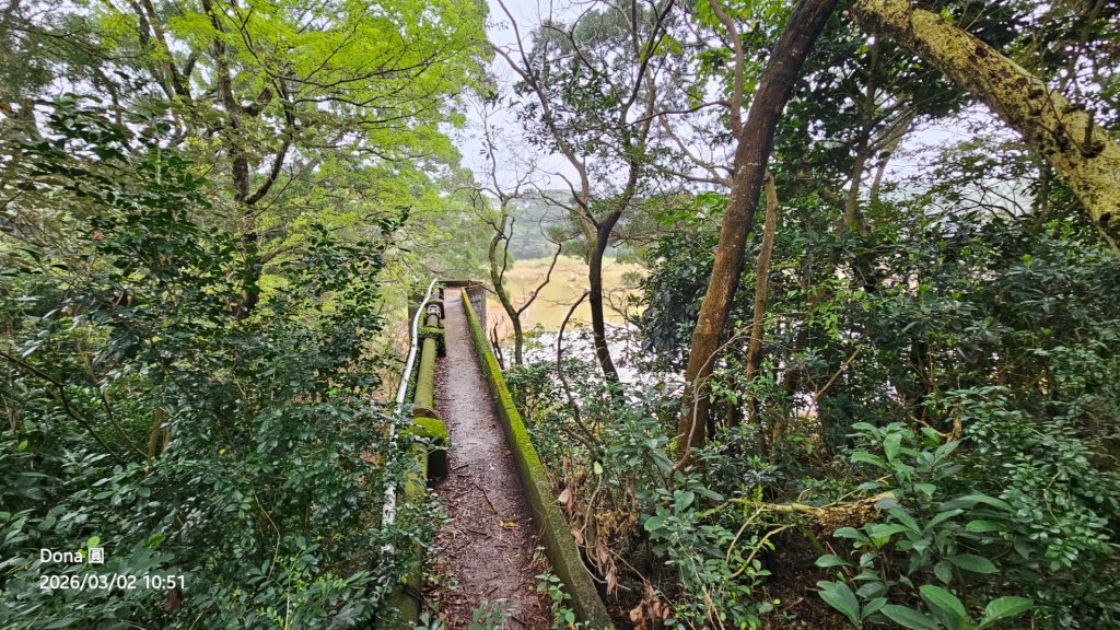 20260302忠義山.小坪頂山.貴子坑山大O走_3009835
