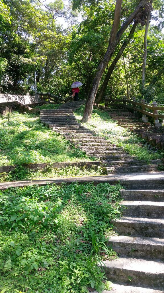 內湖碧湖親山步道_354715