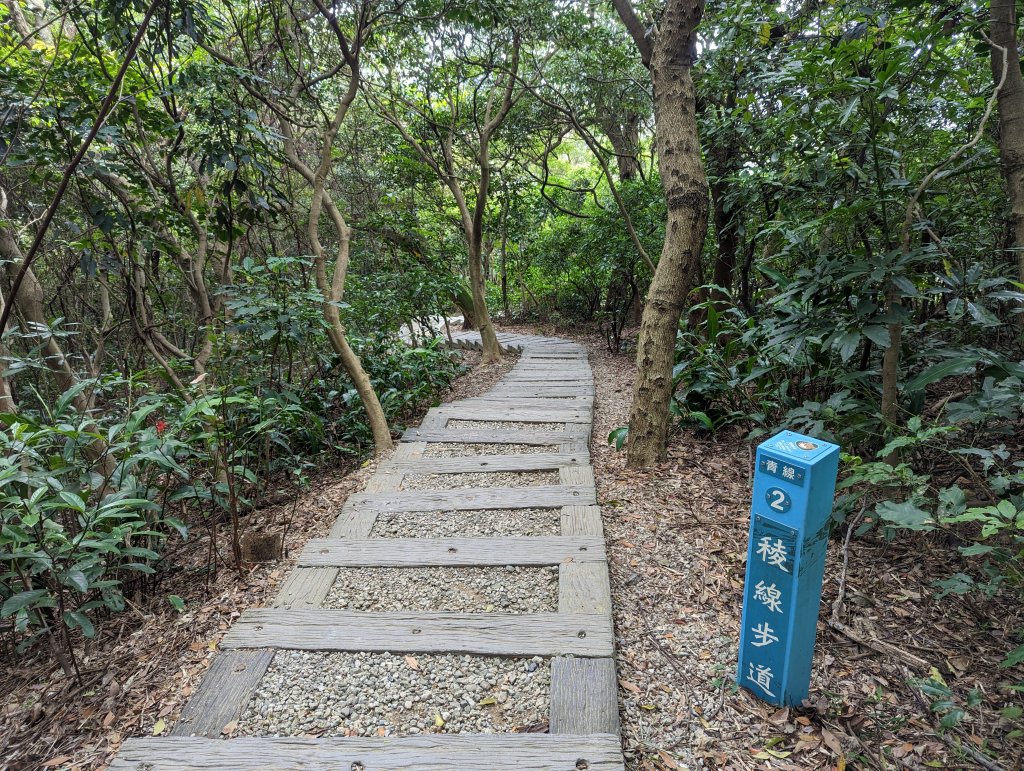 桃園虎頭山七連峰Ｏ型路線_2040544