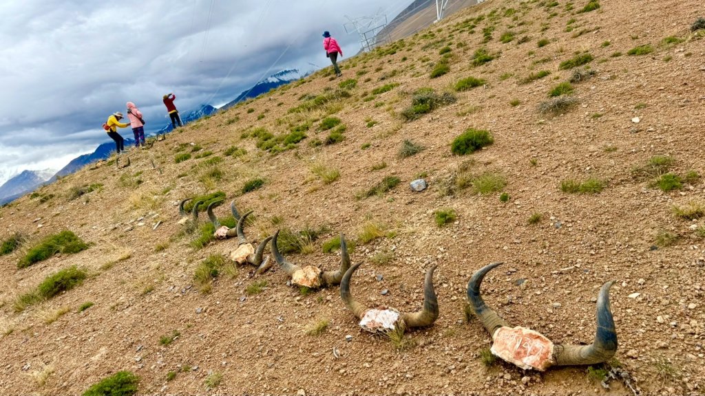 西藏的高山聖湖💙一措再措_2907336