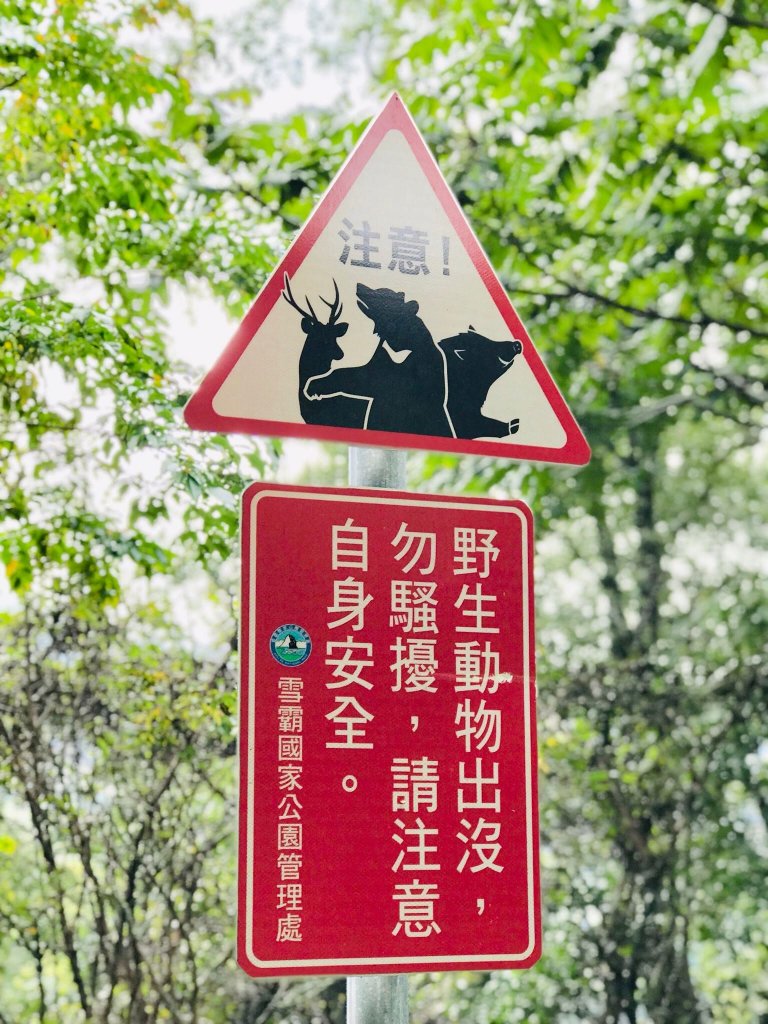 大霸群峰 107.10.19~21_455013