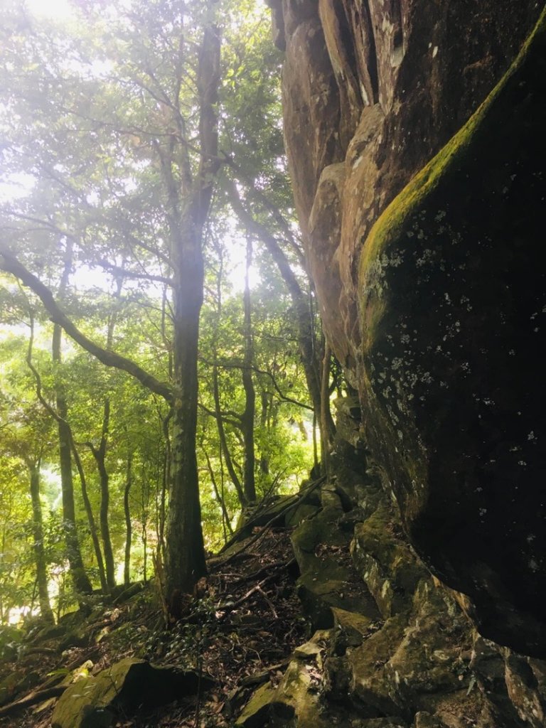 無名山、大坪山、加里山8字走、雲海看到飽_1924774