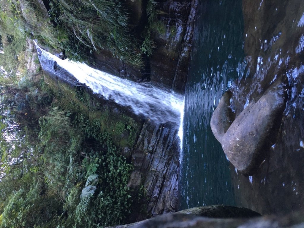 鳥結o. (內鳥嘴、那是山_2595899