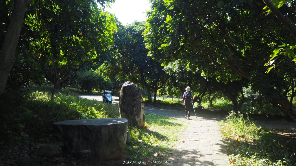 《新竹》湖口老街｜金獅古道O繞茶香及仁和步道20241206_2663778