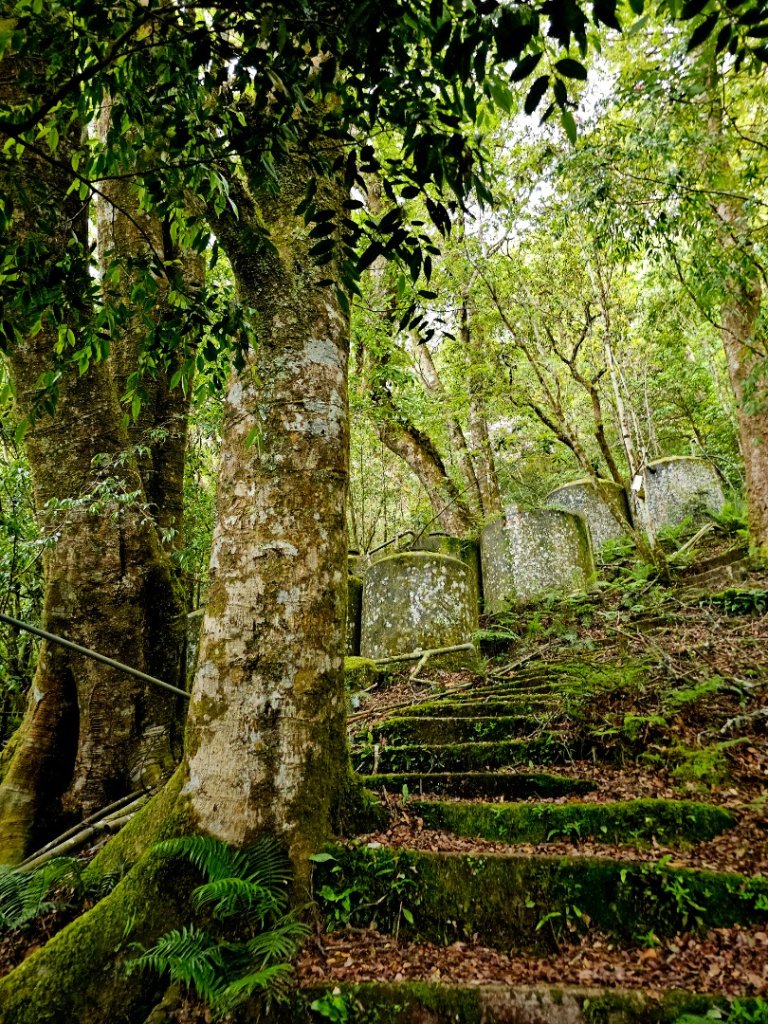 卡拉寶山-小百岳#86-花蓮縣秀林鄉_2796159