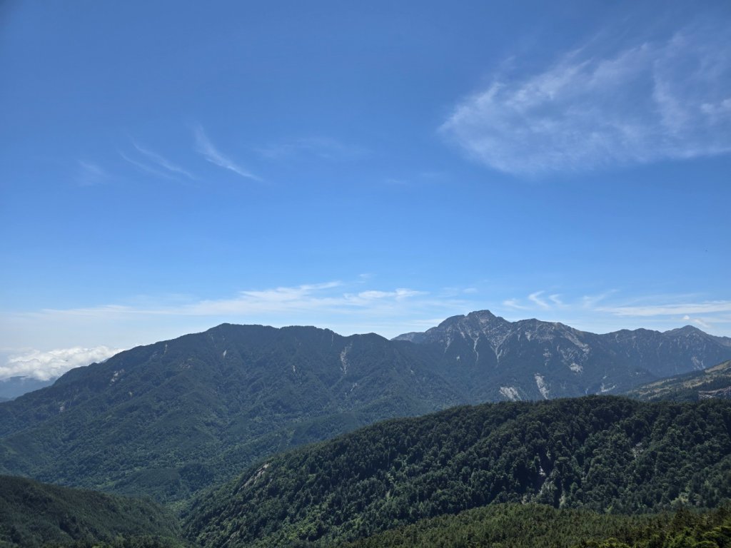 合歡北峰高山杜鵑盛開／龍膽點綴／紅毛杜鵑少許開花_2497448