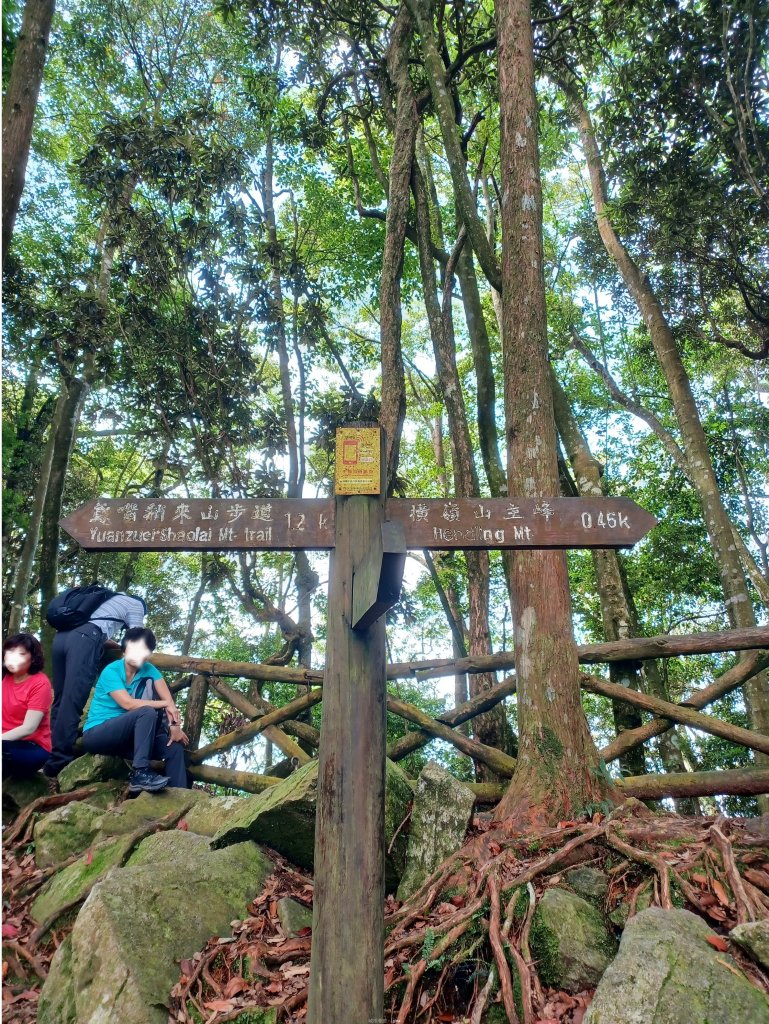 【台中和平】筆直的杉林.林相優美。 橫嶺山x沙連山P型_2869026