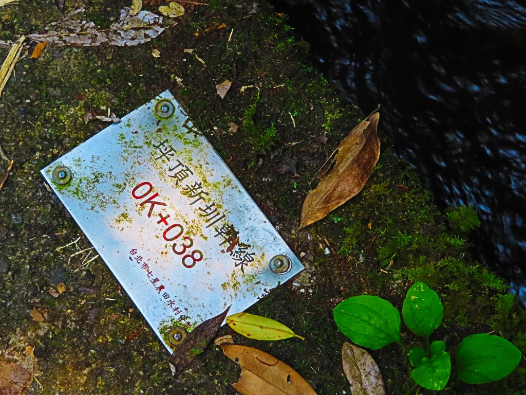 夏日水圳古道之旅：走坪頂古圳步道消暑去_637487