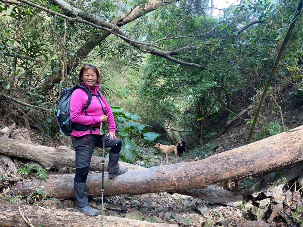 苗栗金童山、玉女山、汶水山_2672907