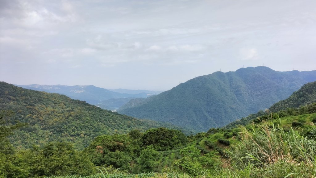 大桶山麓烏來桂山路171巷O型走封面圖