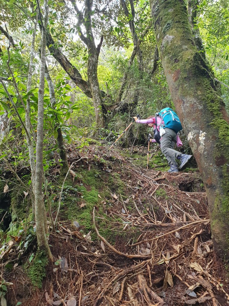 20190714鳶嘴西稜_630877
