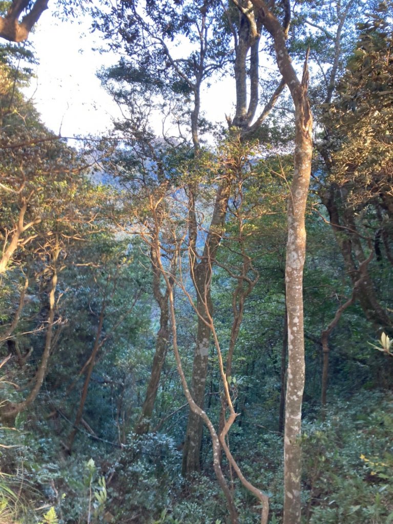 [新竹] 北得拉曼 內鳥嘴山_1982807