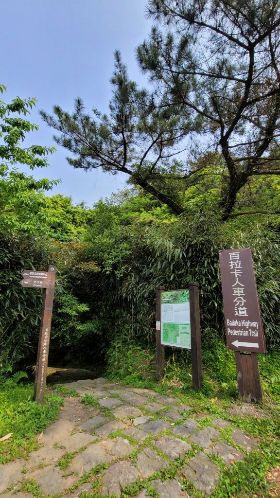 百拉卡公路人車分道菜公坑山賞花趣封面圖