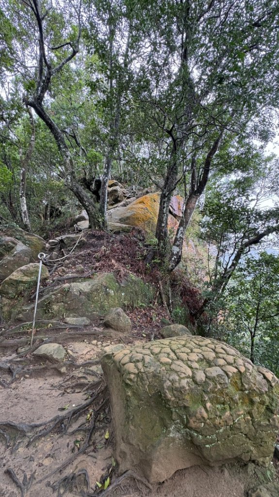 迎新（2026元旦_2975567