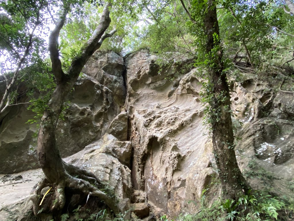 五寮尖縱走溪洲山~鐵腿行程_1848790